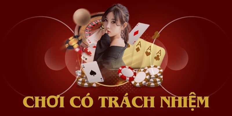 Đôi nét khái  về chơi có trách nhiệm