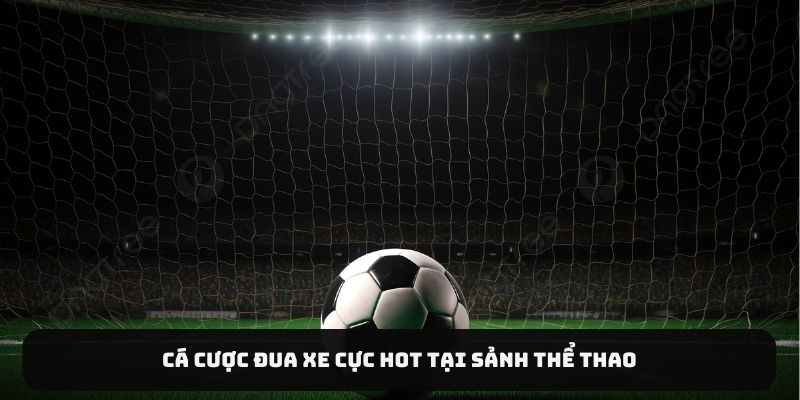 Cá cược đua xe cực hot tại sảnh thể thao