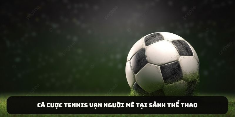 Cá cược tennis vạn người mê tại sảnh thể thao