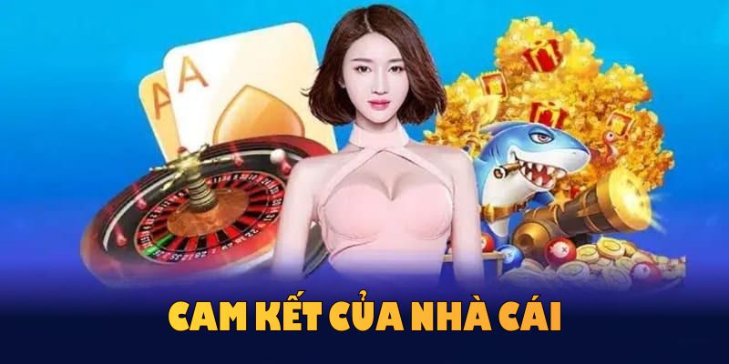 Cam kết của nhà cái về độ chính xác của các thông tin trong mục hướng dẫn 33WIN