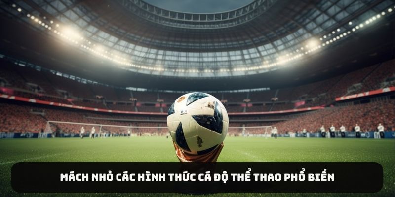 Mách nhỏ các hình thức cá độ thể thao phổ biến